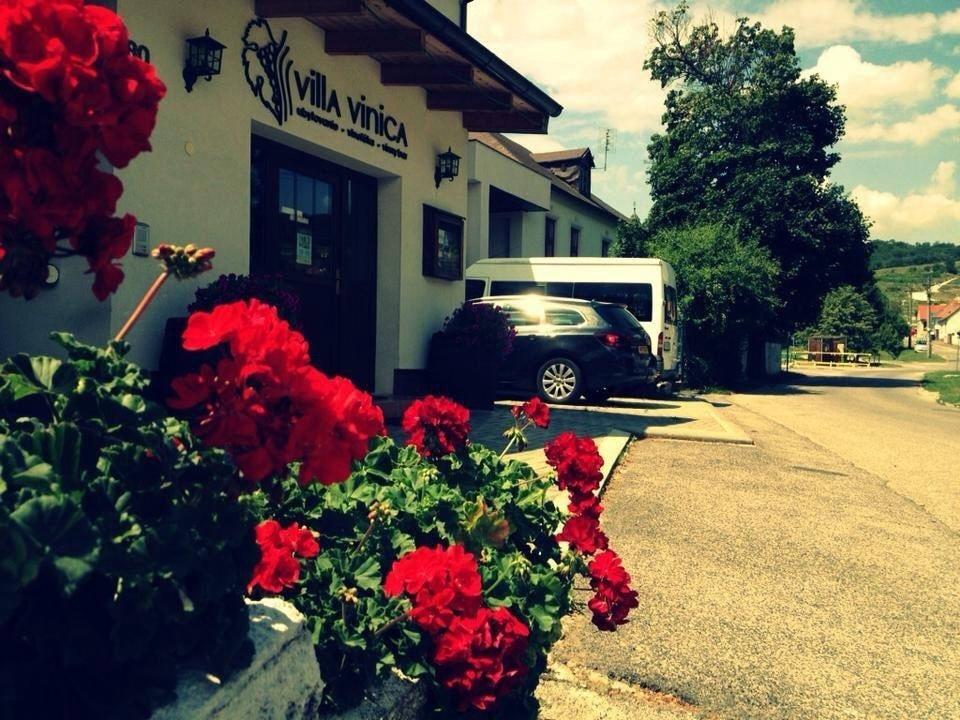 Limbach Villa Vinica מראה חיצוני תמונה