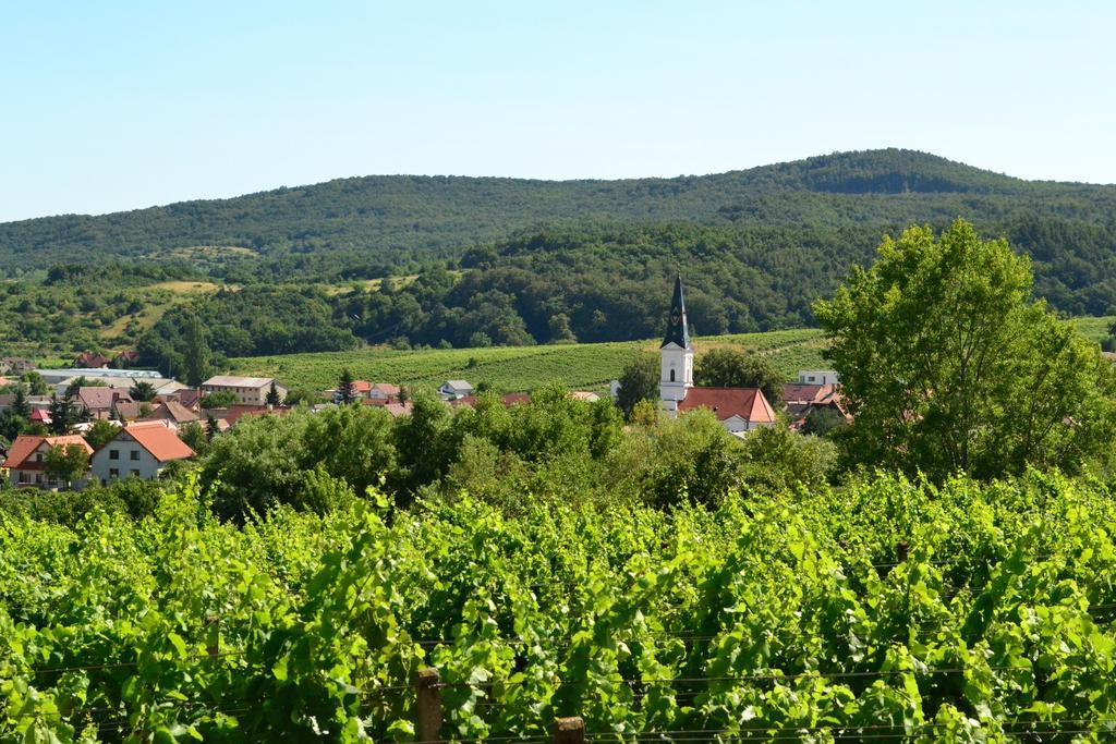 Limbach Villa Vinica מראה חיצוני תמונה