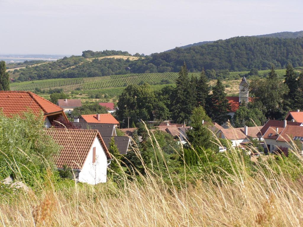 Limbach Villa Vinica מראה חיצוני תמונה