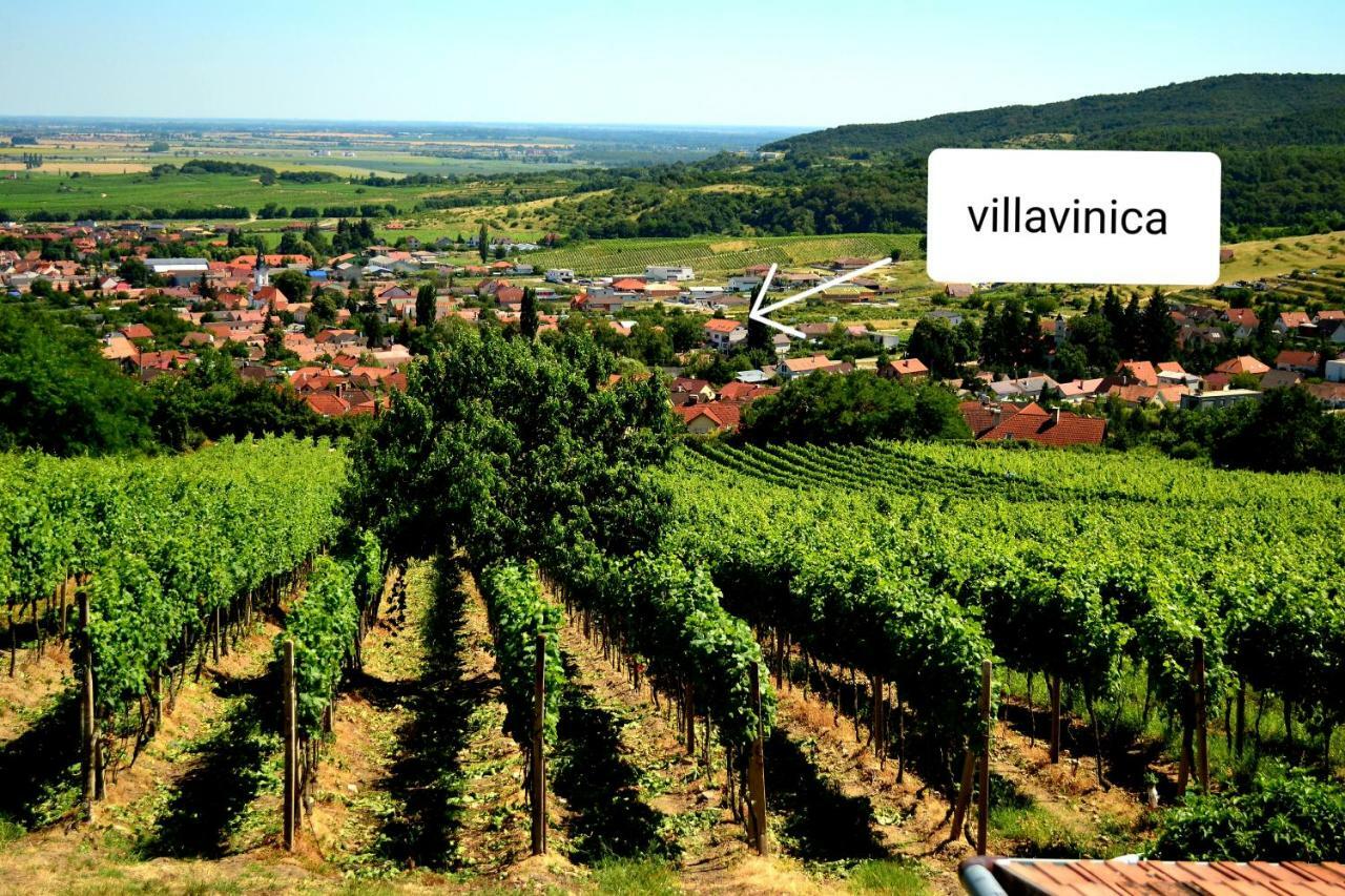 Limbach Villa Vinica מראה חיצוני תמונה