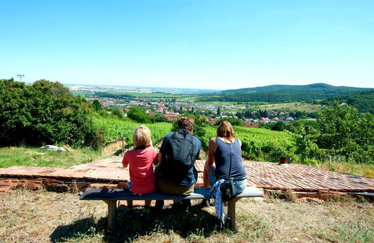 Limbach Villa Vinica מראה חיצוני תמונה